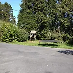 Laurel Manorhamilton
